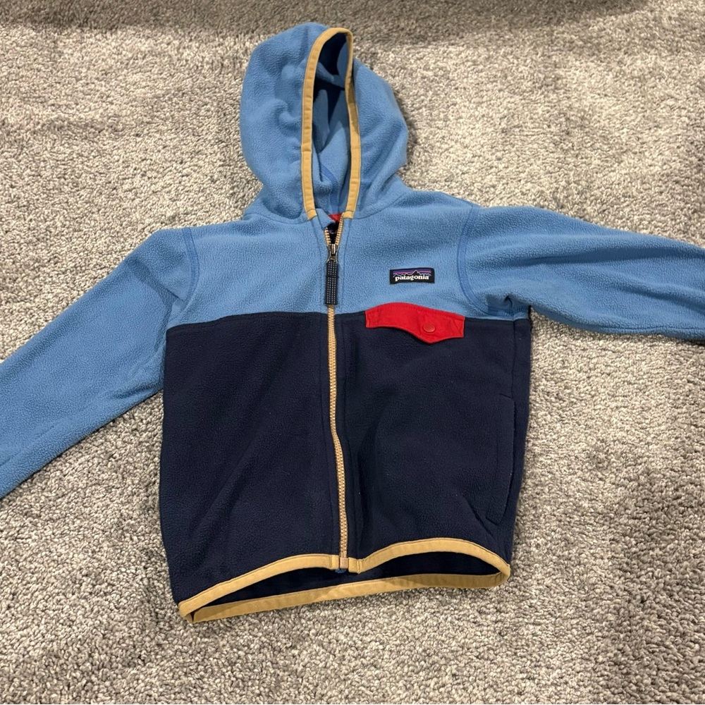 Patagonia Kids Two-Tone Fleece Hoodie